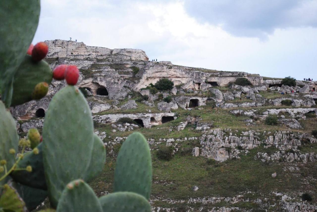 Holiday home Domus